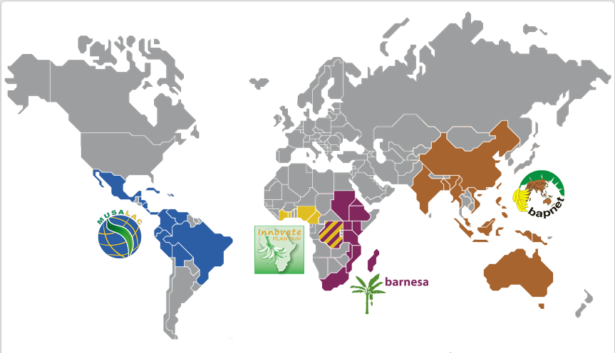 Banana research networks around the world