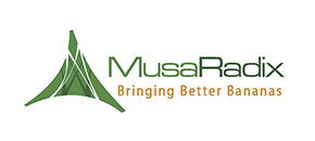 Main Sponsors: MusaRadix